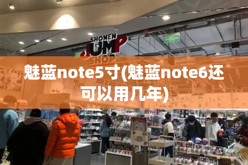 魅蓝note5寸(魅蓝note6还可以用几年)-第1张图片-星选测评