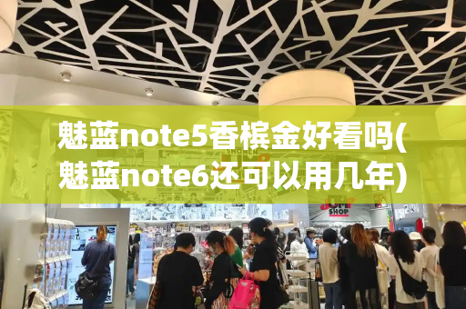 魅蓝note5香槟金好看吗(魅蓝note6还可以用几年)