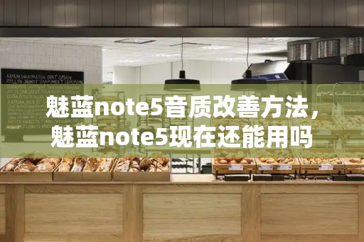 魅蓝note5音质改善方法，魅蓝note5现在还能用吗