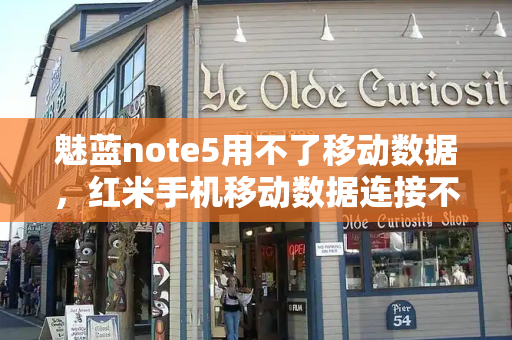 魅蓝note5用不了移动数据，红米手机移动数据连接不上怎么回事-第1张图片-星选测评