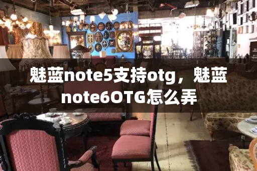 魅蓝note5支持otg，魅蓝note6OTG怎么弄