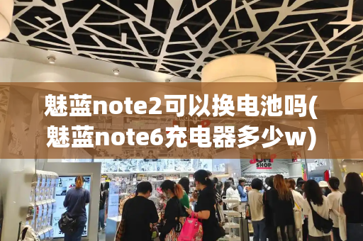 魅蓝note2可以换电池吗(魅蓝note6充电器多少w)-第1张图片-星选测评