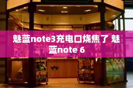 魅蓝note3充电口烧焦了 魅蓝note 6