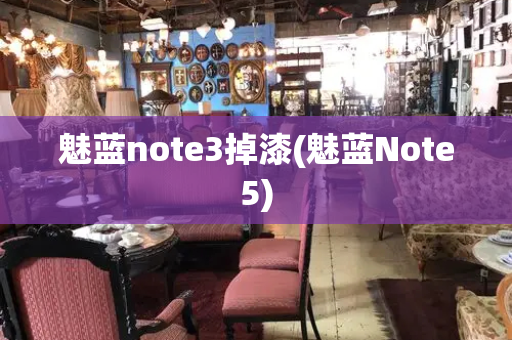 魅蓝note3掉漆(魅蓝Note5)-第1张图片-星选测评