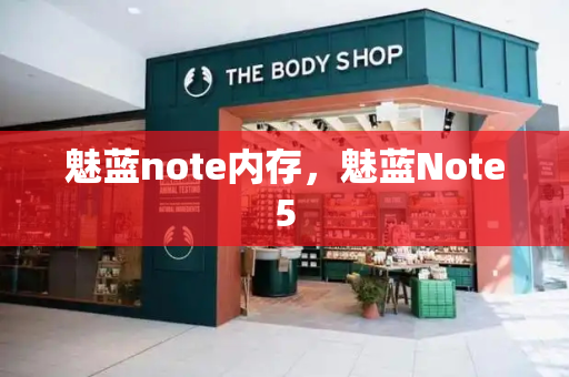 魅蓝note内存，魅蓝Note5-第1张图片-星选测评