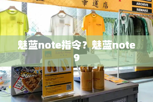 魅蓝note指令？魅蓝note9