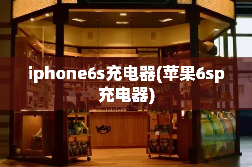 iphone6s充电器(苹果6sp充电器)