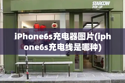 iPhone6s充电器图片(iphone6s充电线是哪种)