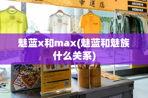 魅蓝x和max(魅蓝和魅族什么关系)-第1张图片-星选测评