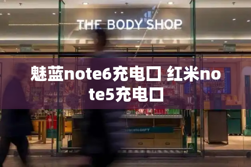 魅蓝note6充电囗 红米note5充电口-第1张图片-星选测评