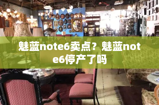 魅蓝note6卖点？魅蓝note6停产了吗-第1张图片-星选测评