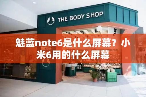 魅蓝note6是什么屏幕？小米6用的什么屏幕-第1张图片-星选测评