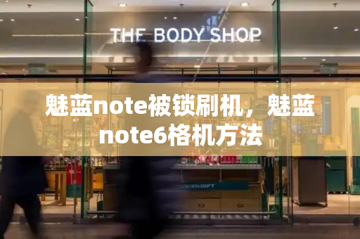 魅蓝note被锁刷机，魅蓝note6格机方法-第1张图片-星选测评