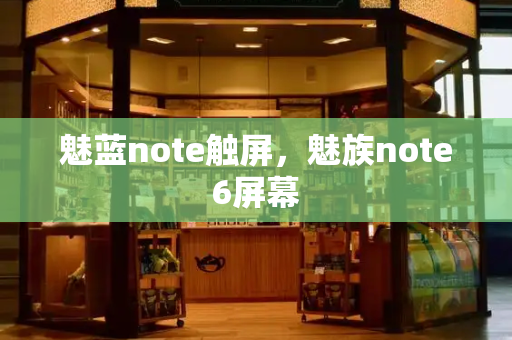 魅蓝note触屏，魅族note6屏幕-第1张图片-星选测评