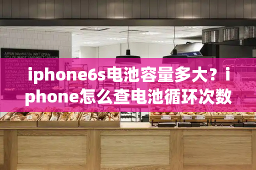 iphone6s电池容量多大？iphone怎么查电池循环次数-第1张图片-星选测评