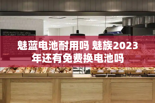 魅蓝电池耐用吗 魅族2023年还有免费换电池吗-第1张图片-星选测评