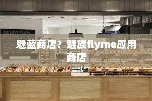 魅蓝商店？魅族flyme应用商店-第1张图片-星选测评