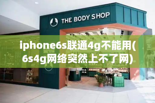 iphone6s联通4g不能用(6s4g网络突然上不了网)-第1张图片-星选测评