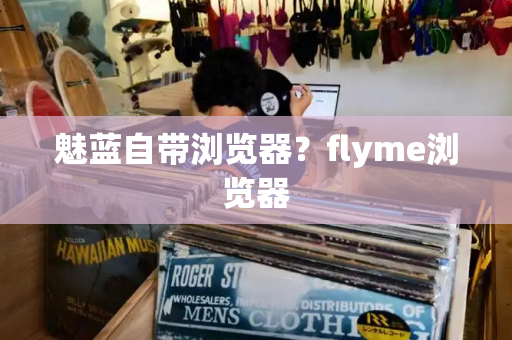 魅蓝自带浏览器？flyme浏览器-第1张图片-星选测评