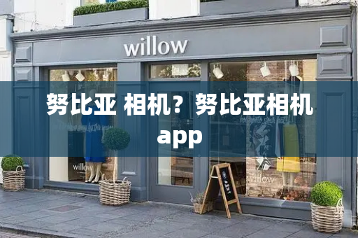 努比亚 相机？努比亚相机app-第1张图片-星选测评