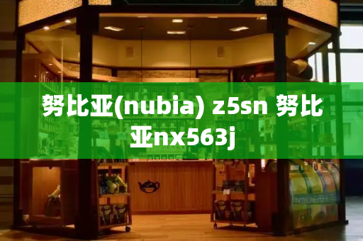 努比亚(nubia) z5sn 努比亚nx563j