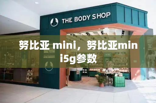 努比亚 mini，努比亚mini5g参数