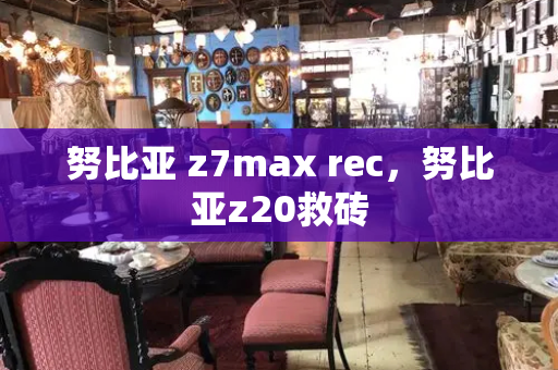 努比亚 z7max rec，努比亚z20救砖-第1张图片-星选测评