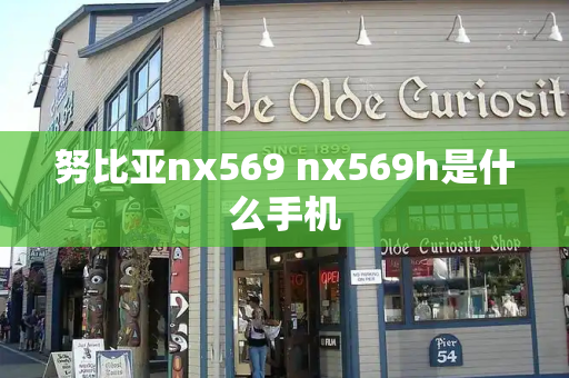 努比亚nx569 nx569h是什么手机