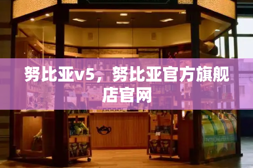 努比亚v5，努比亚官方旗舰店官网