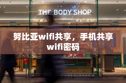 努比亚wifi共享，手机共享wifi密码-第1张图片-星选测评