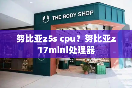 努比亚z5s cpu？努比亚z17mini处理器-第1张图片-星选测评