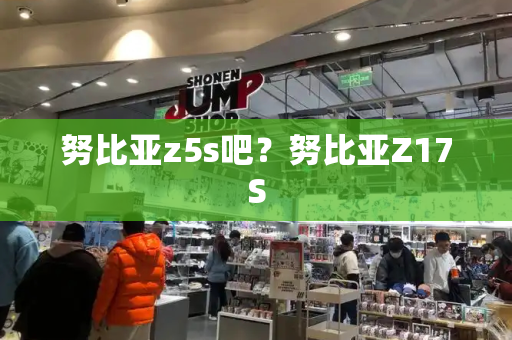 努比亚z5s吧？努比亚Z17S