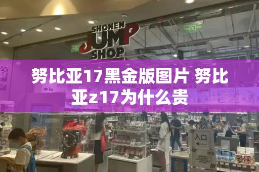 努比亚17黑金版图片 努比亚z17为什么贵