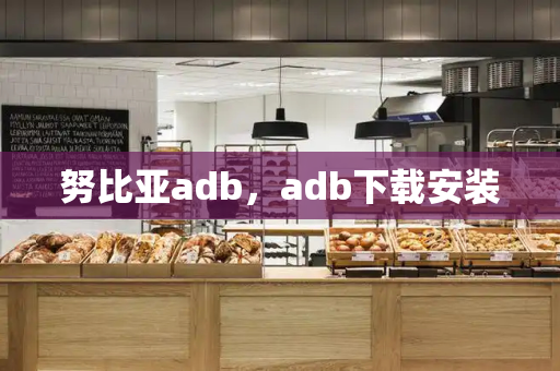 努比亚adb，adb下载安装