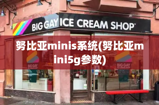 努比亚minis系统(努比亚mini5g参数)