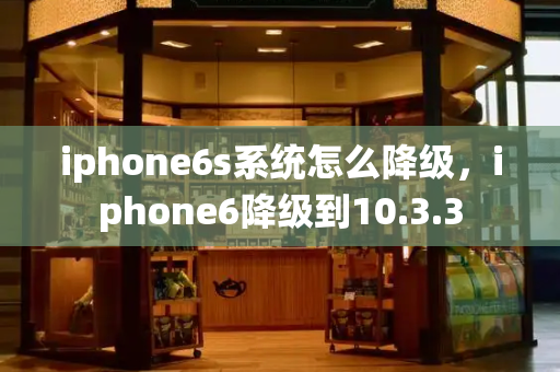 iphone6s系统怎么降级，iphone6降级到10.3.3-第1张图片-星选测评