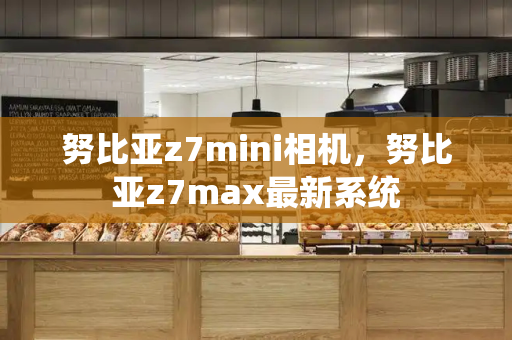 努比亚z7mini相机，努比亚z7max最新系统-第1张图片-星选测评