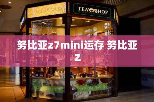 努比亚z7mini运存 努比亚Z