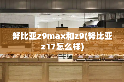 努比亚z9max和z9(努比亚z17怎么样)