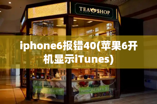 iphone6报错40(苹果6开机显示iTunes)-第1张图片-星选测评