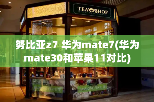 努比亚z7 华为mate7(华为mate30和苹果11对比)