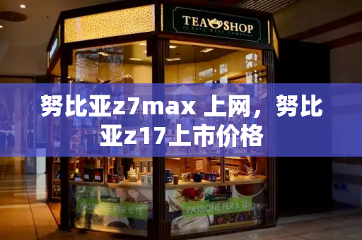 努比亚z7max 上网，努比亚z17上市价格