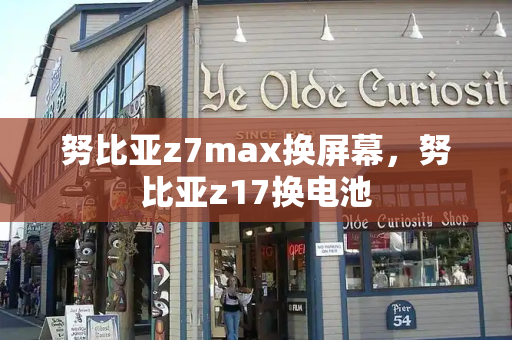 努比亚z7max换屏幕，努比亚z17换电池-第1张图片-星选测评