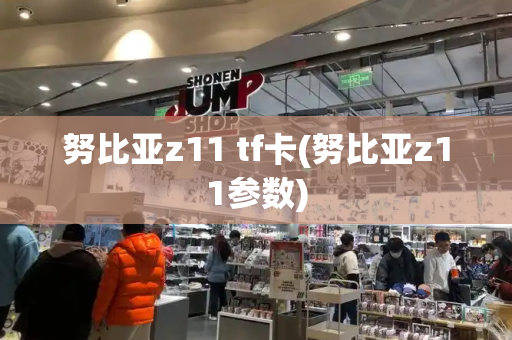 努比亚z11 tf卡(努比亚z11参数)