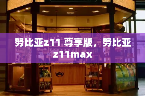 努比亚z11 尊享版，努比亚z11max