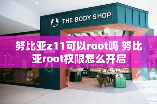 努比亚z11可以root吗 努比亚root权限怎么开启-第1张图片-星选测评