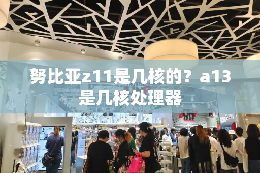 努比亚z11是几核的？a13是几核处理器