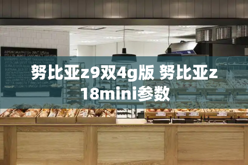 努比亚z9双4g版 努比亚z18mini参数