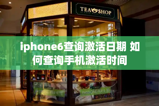 iphone6查询激活日期 如何查询手机激活时间-第1张图片-星选测评