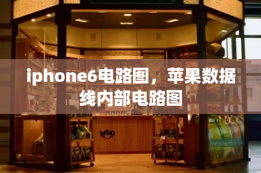 iphone6电路图，苹果数据线内部电路图